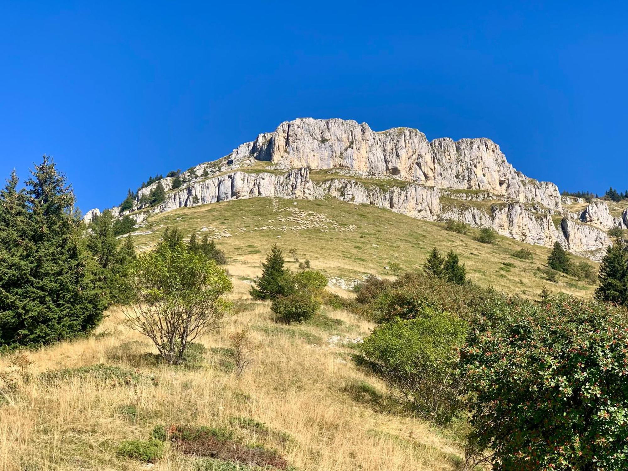 Vercors En Vert , Chambres D'Hotes De Charme Saint-Romans  Exterior photo