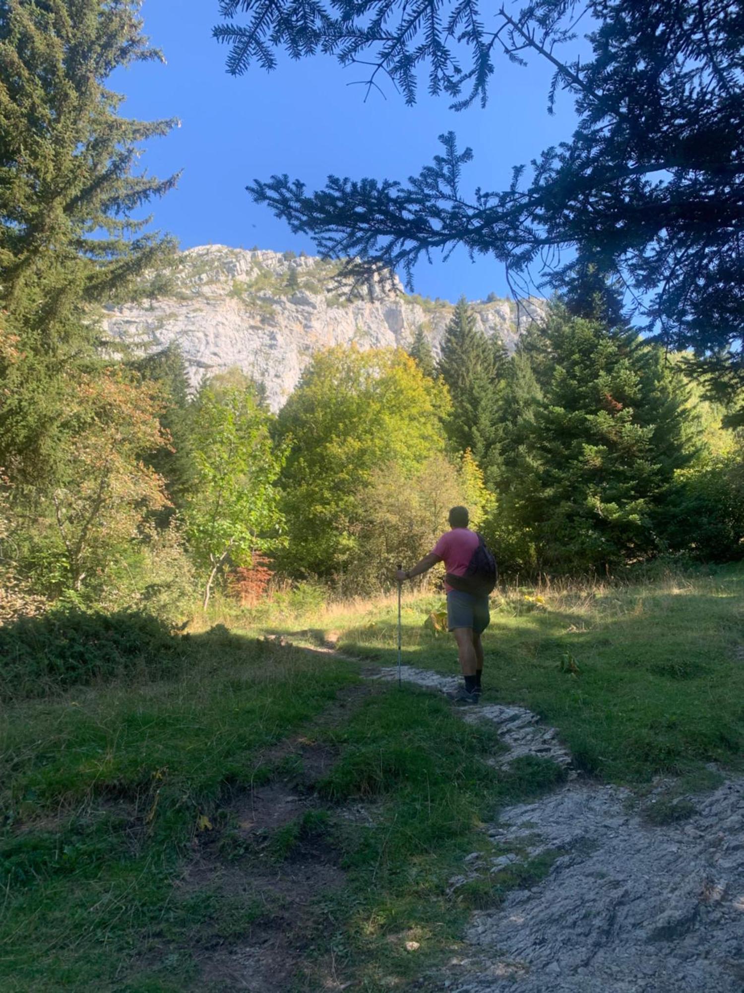 Vercors En Vert , Chambres D'Hotes De Charme Saint-Romans  Exterior photo